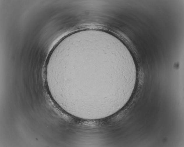 X0000115091182200912081227