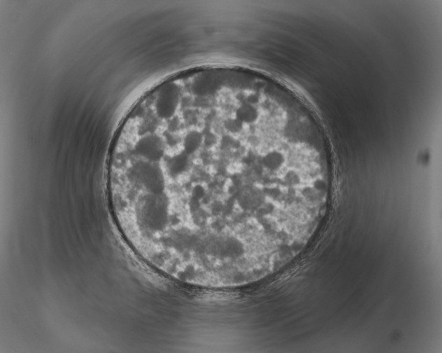 X0000115091183200912081227