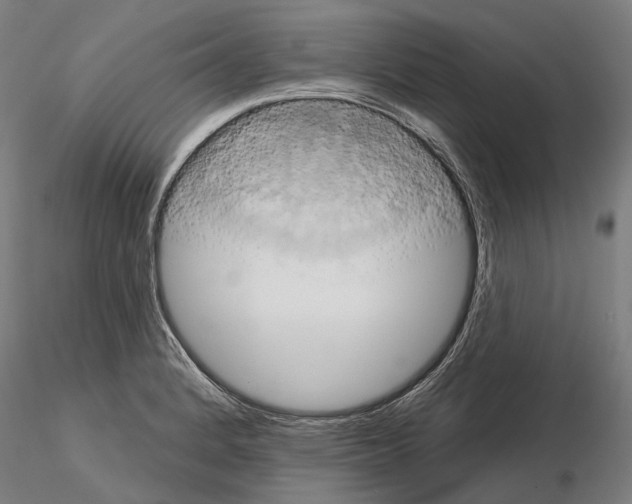 X0000115091184200912081227