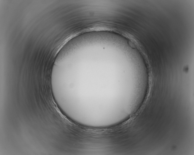 X0000115091185200912081227
