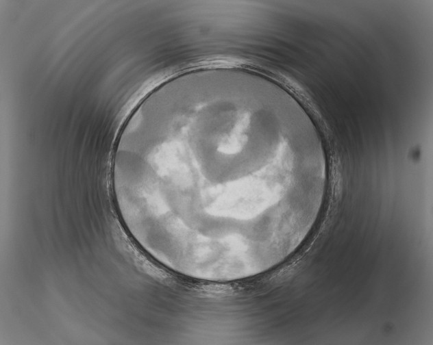 X0000115091186200912081227