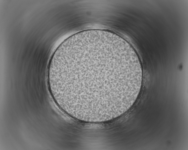 X0000115091187200912081227