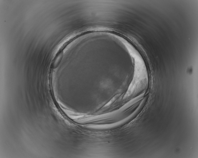 X0000115091189200912081227