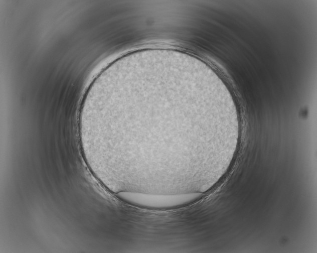 X0000115091192200912081227