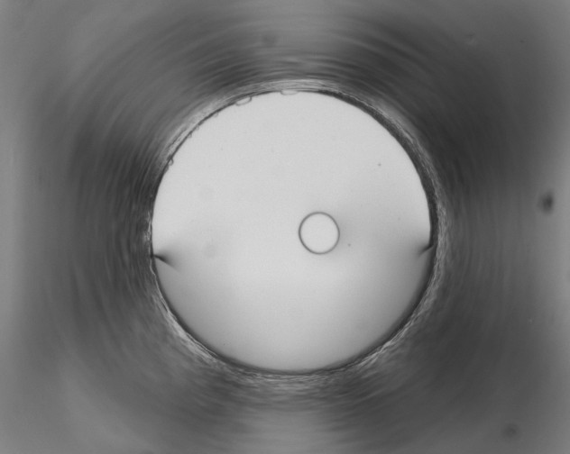 X0000115091193200912081227