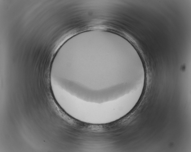 X0000115091194200912081227
