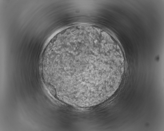 X0000115091195200912081227