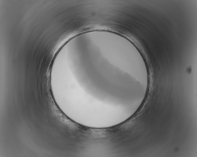 X0000115091198200912081227