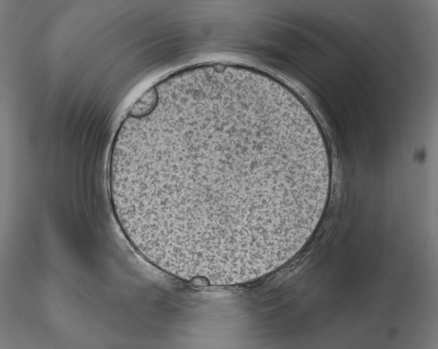 X0000115091199200912081227
