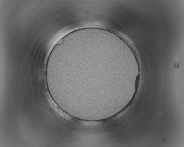 X0000115091200200912081227