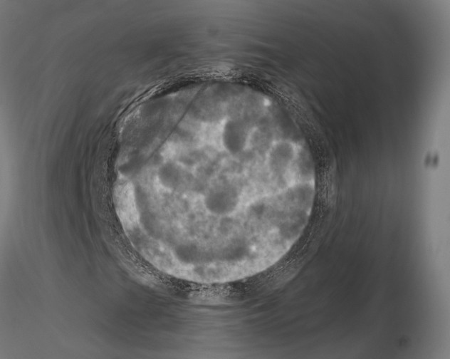 X0000115091201200912081226