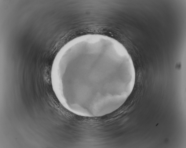 X0000115091202200912081226