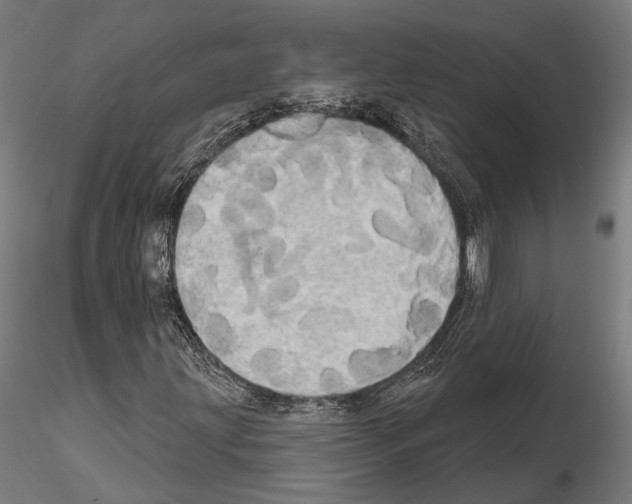 X0000115091203200912081226