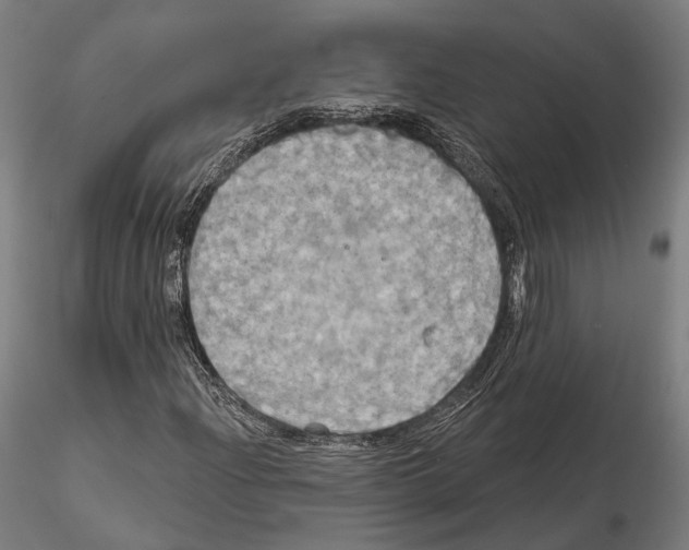 X0000115091204200912081226