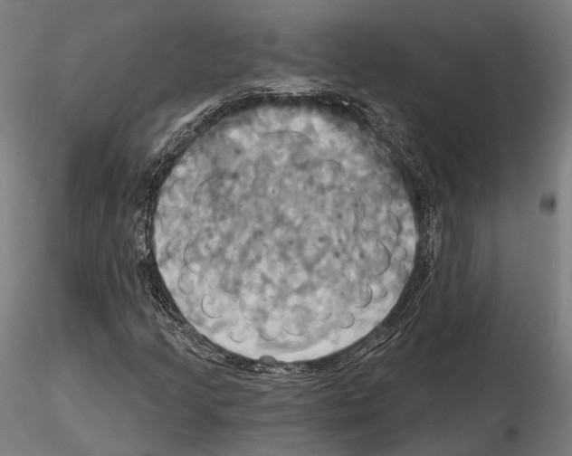 X0000115091205200912081226
