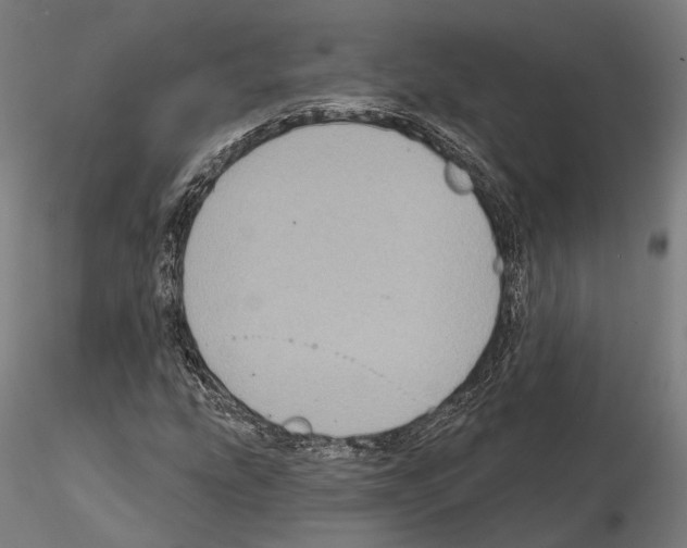 X0000115091207200912081226