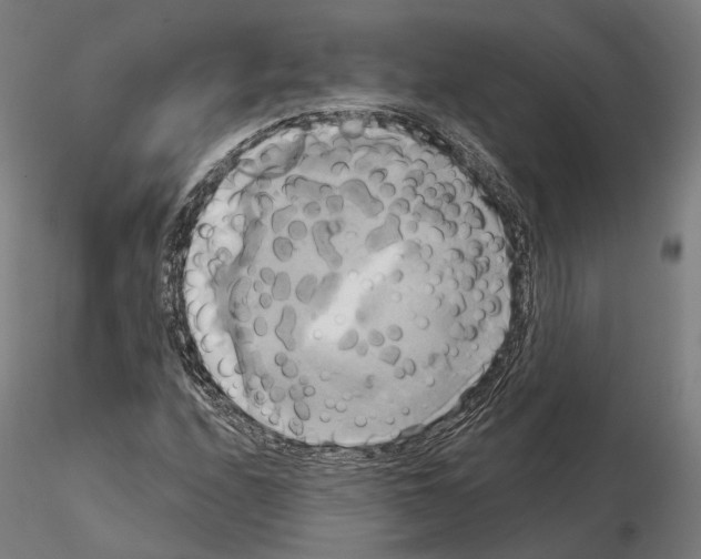 X0000115091208200912081226