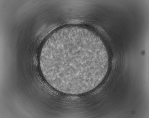 X0000115091209200912081227