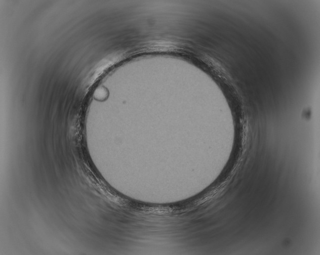 X0000115091210200912081227