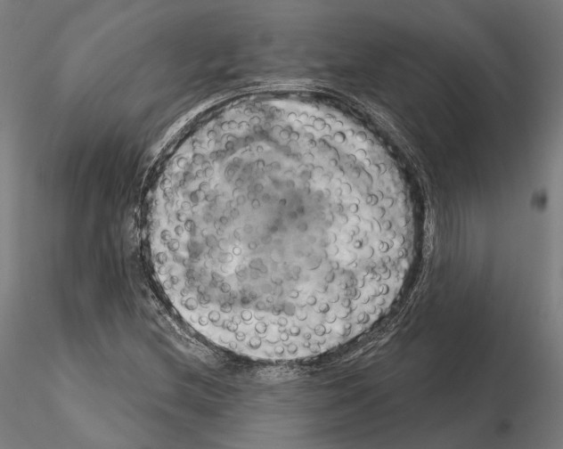 X0000115091212200912081227