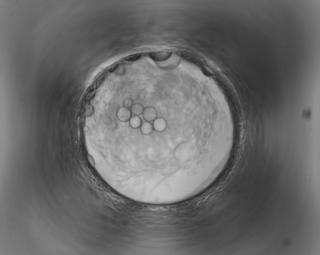 X0000115091214200912081227