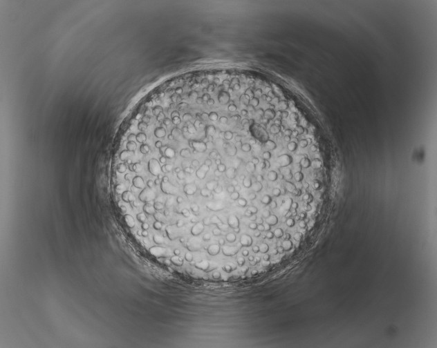 X0000115091220200912081227