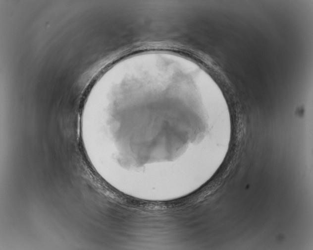 X0000115091221200912081227