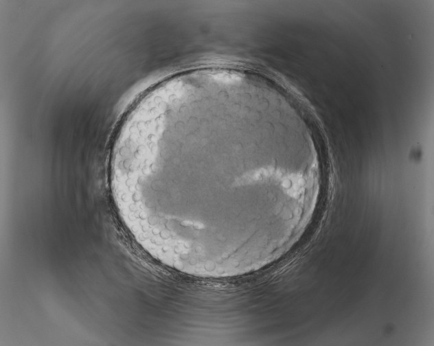 X0000115091222200912081227