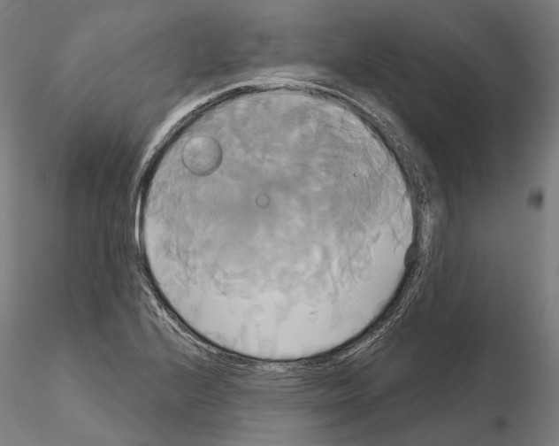 X0000115091224200912081227