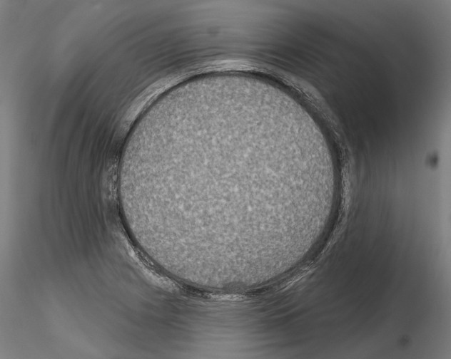 X0000115091225200912081227