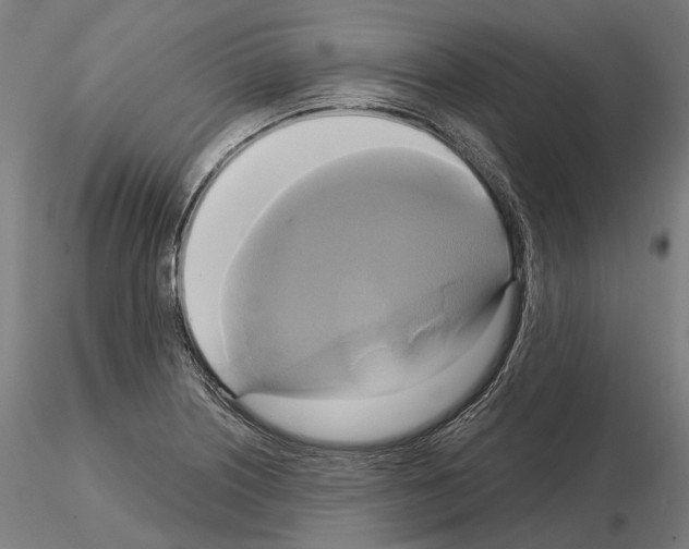 X0000115091226200912081227