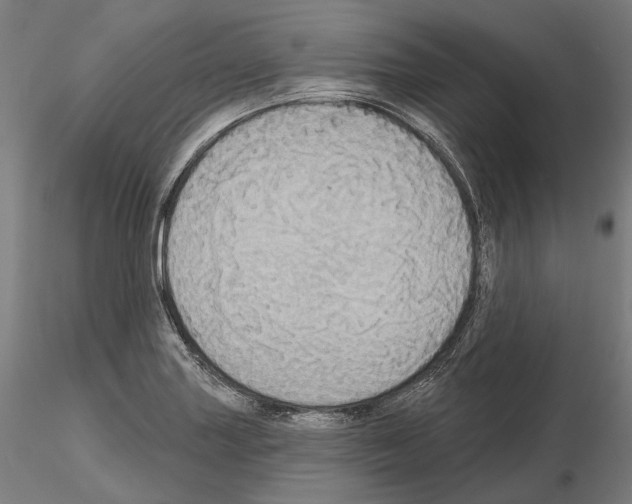 X0000115091227200912081227