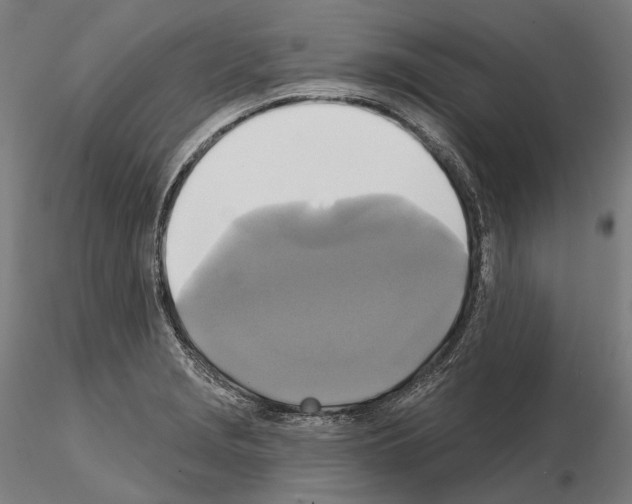 X0000115091229200912081227