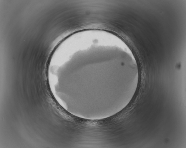 X0000115091230200912081227