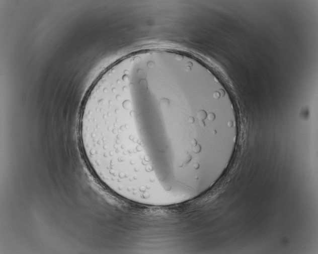 X0000115091231200912081227
