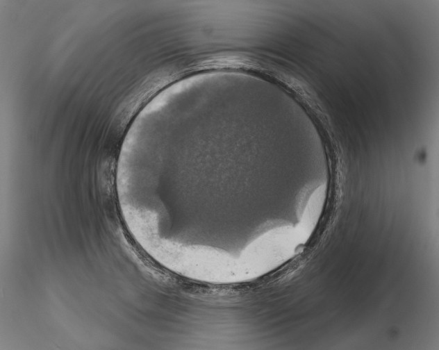 X0000115091233200912081227
