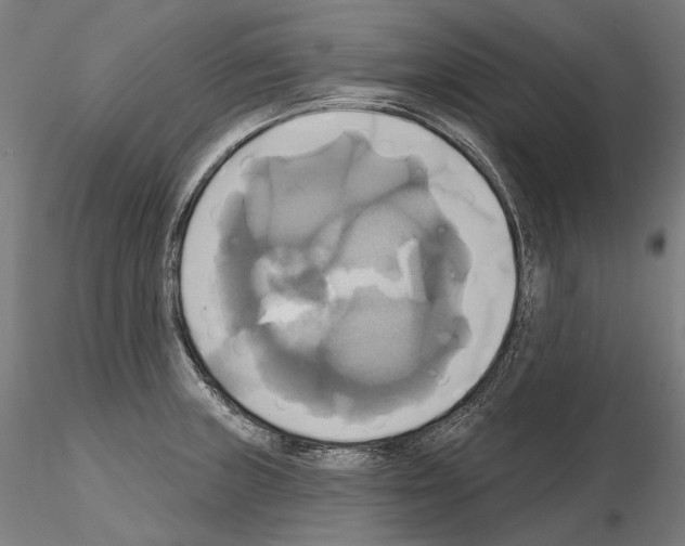 X0000115091235200912081227