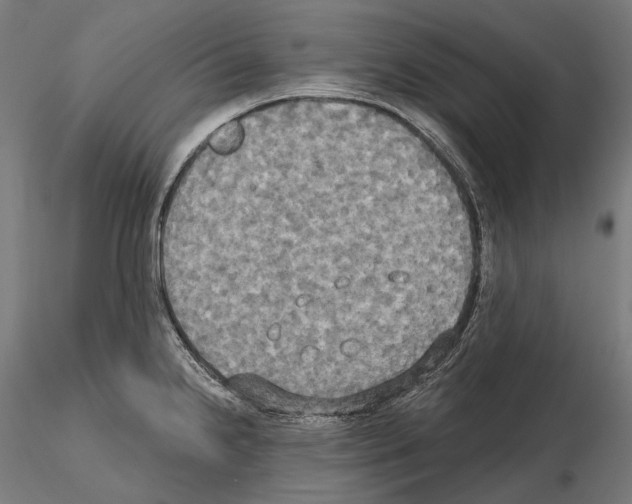 X0000115091238200912081227