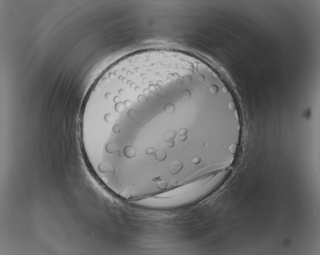 X0000115091239200912081227