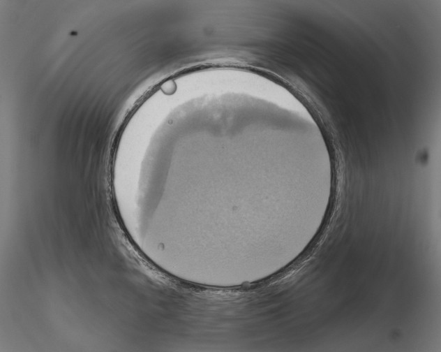 X0000115091240200912081227