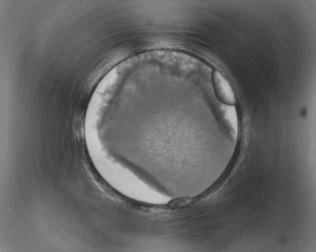 X0000115091241200912081227
