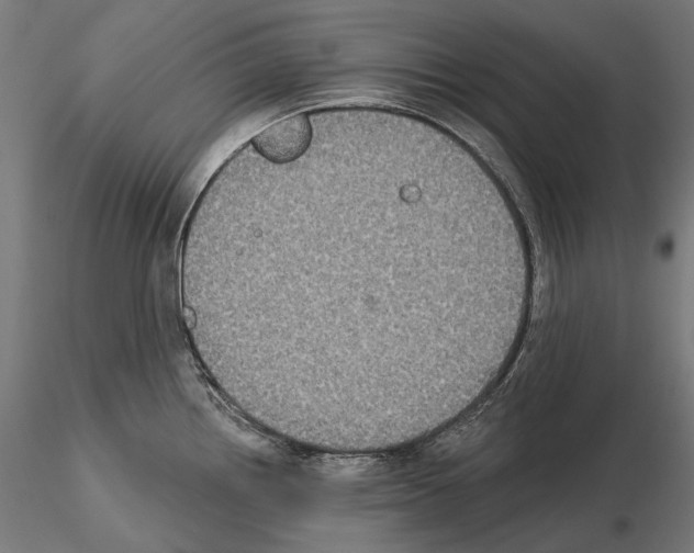 X0000115091242200912081227