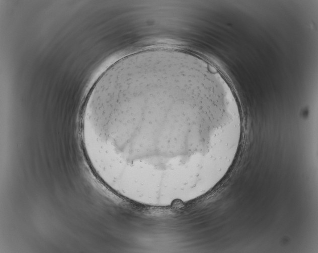 X0000115091243200912081227