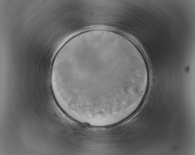 X0000115091244200912081227