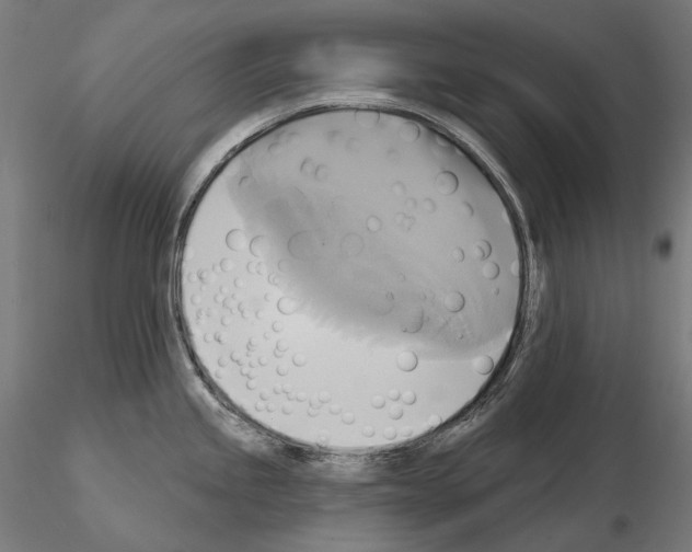 X0000115091245200912081227