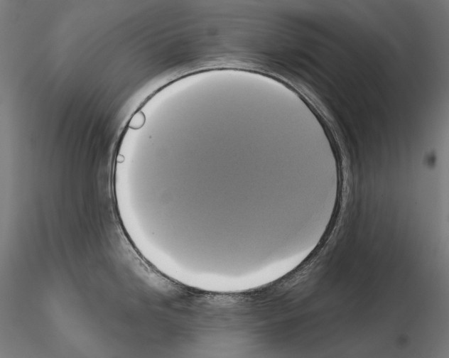 X0000115091246200912081227