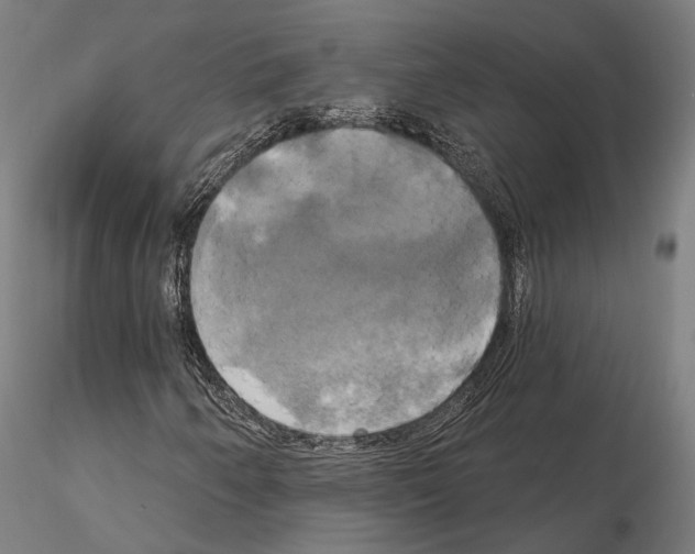X0000115091250200912081226