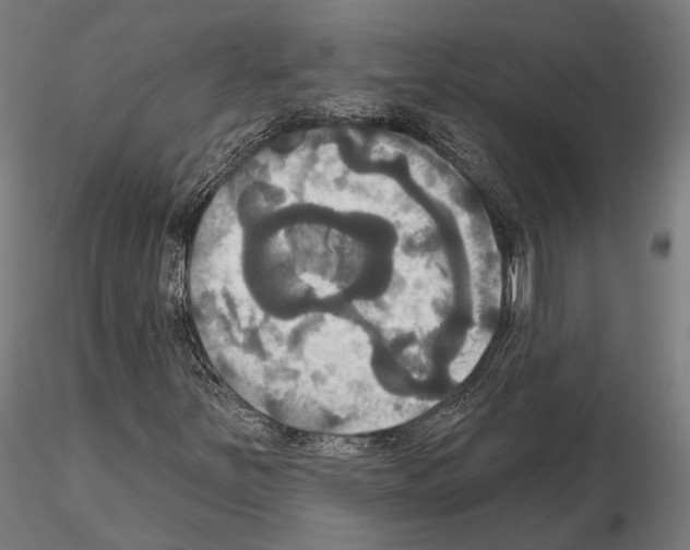 X0000115091251200912081226