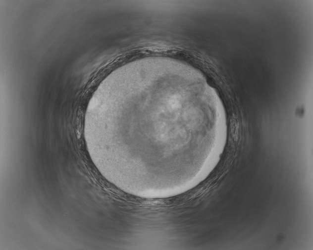 X0000115091253200912081226