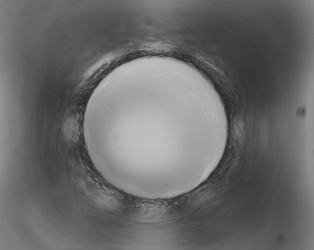 X0000115091254200912081226